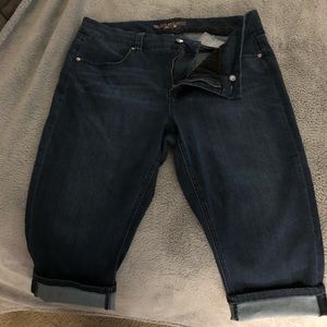 Melissa McCarthy 7 Capri Jeans